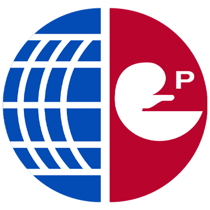 Elenor Müzik Net Worth & Earnings (2025)