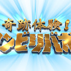 bibu au