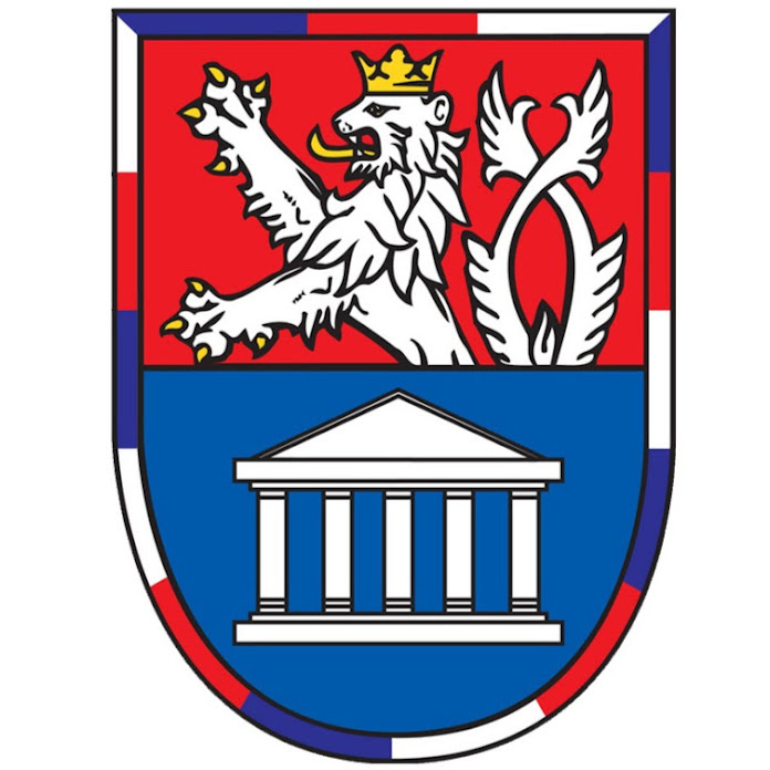 VHÚ MOVIES Net Worth & Earnings (2026)