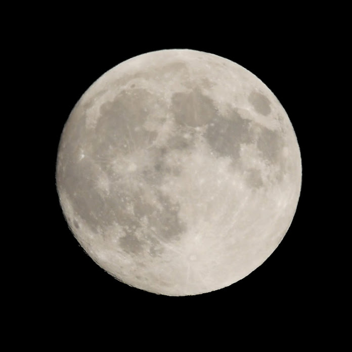 Mera Net Worth & Earnings (2026)