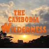 What could The Cambodia Wilderness buy with $346.18 thousand?