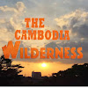 What could The Cambodia Wilderness buy with $346.2 thousand?