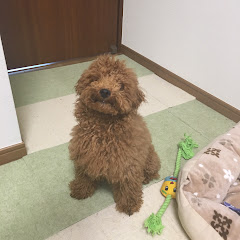 わのさんちゃんねる