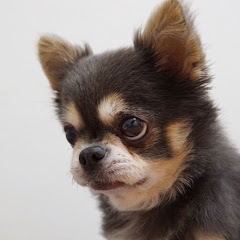 ラズハウス-Raz house