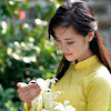 What could NHẠC SỐNG XUÂN HỮU buy with $100 thousand?