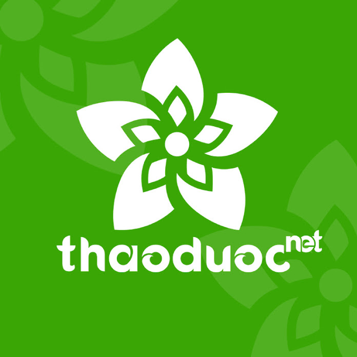 T H A O D U O C . N E T Net Worth & Earnings (2025)