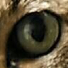 S W