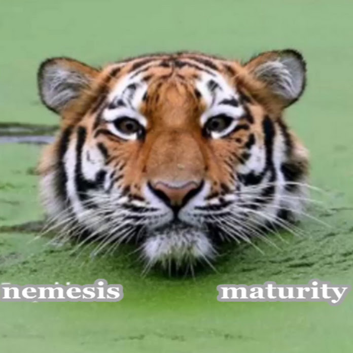 nemesis maturity Net Worth & Earnings (2026)