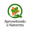 What could aproveitando a natureza. buy with $379.49 thousand?