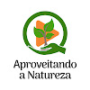 What could aproveitando a natureza. buy with $379.5 thousand?