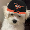 What could Matsui buy with $161.5 thousand?