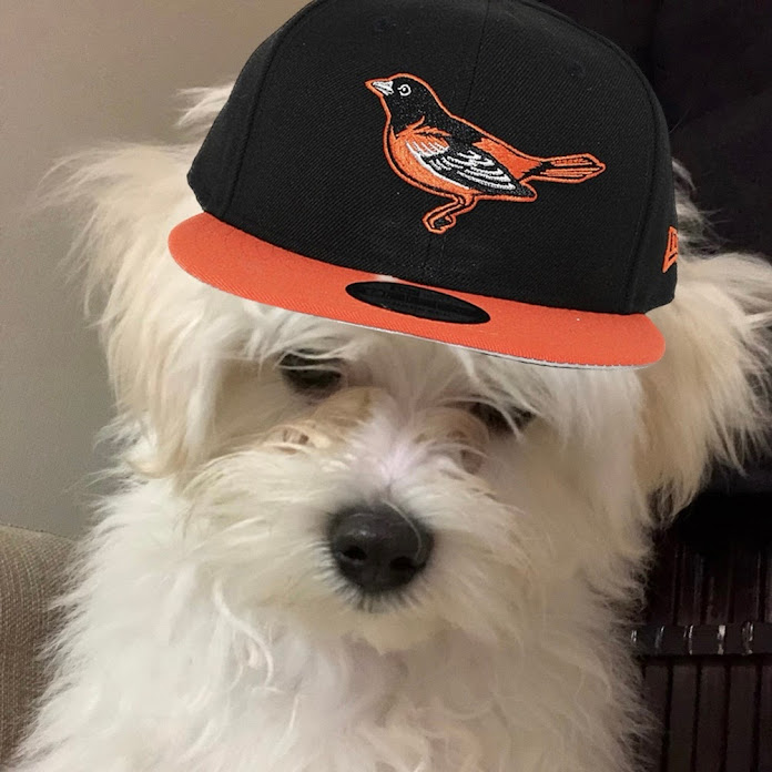 Matsui Net Worth & Earnings (2026)