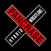 What could pancrase_mma buy with $100 thousand?