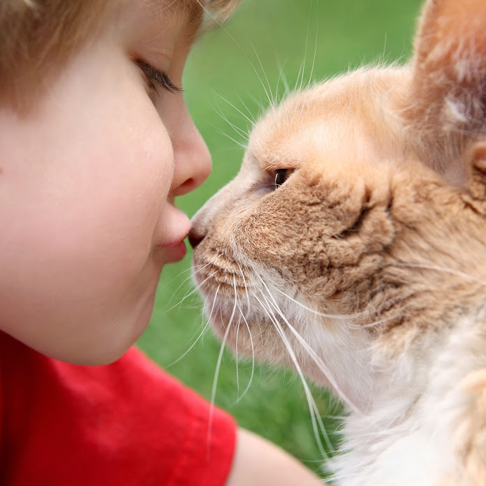 ***FunnyBabies&CutePets *** Net Worth & Earnings (2025)