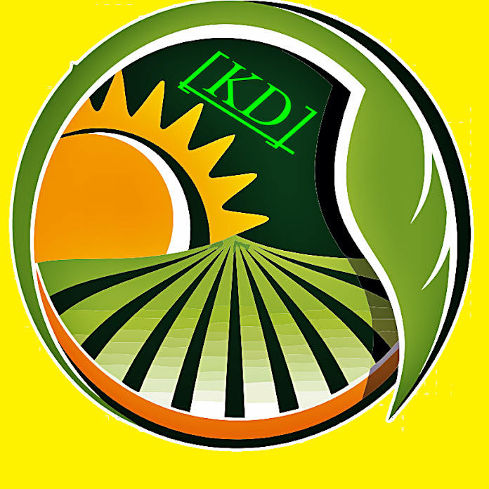 Danó. Net Worth & Earnings (2026)