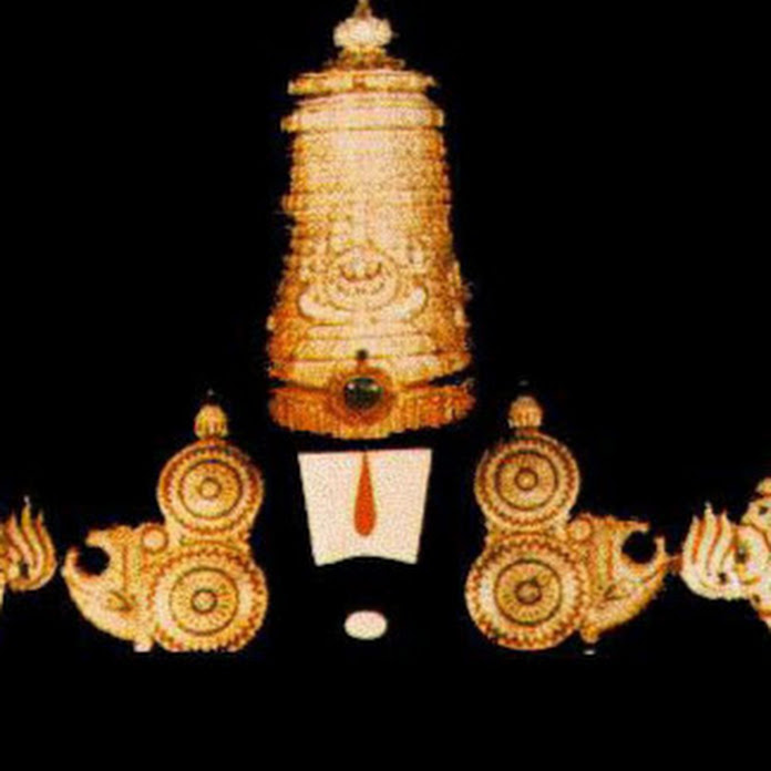 SVR Media Net Worth & Earnings (2026)