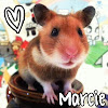 Ellilee328
