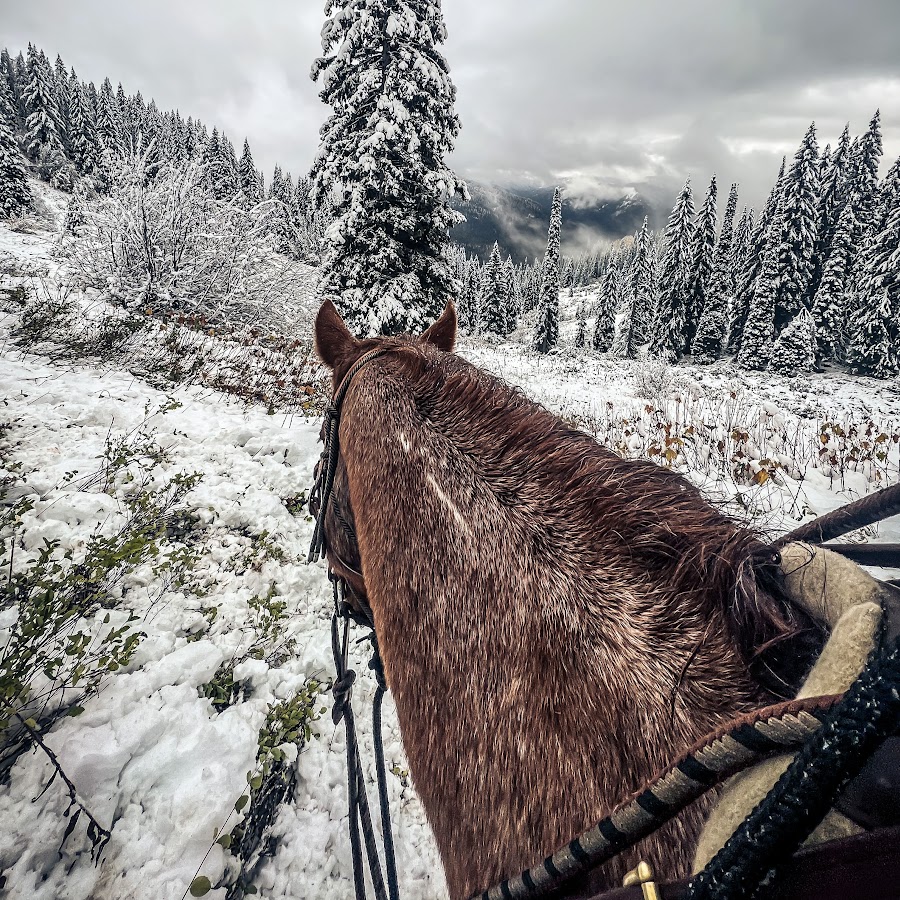 Triple R Ranch YouTube