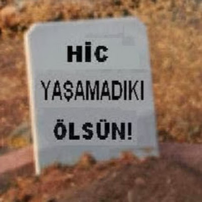 AAuE7mDOdTc4m5j5F8CQZBTuO6aMAYHgK5edX6WQmw=s400-mo-c-c0xffffffff-rj-k-no