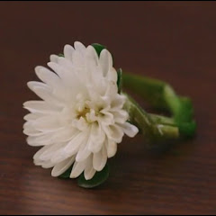 花冠