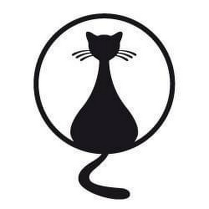 Monk Wolle & Beanies Net Worth & Earnings (2026)