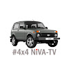 What could 4x4 NIVA-TV buy with $172.47 thousand?