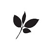 MINTPAPER