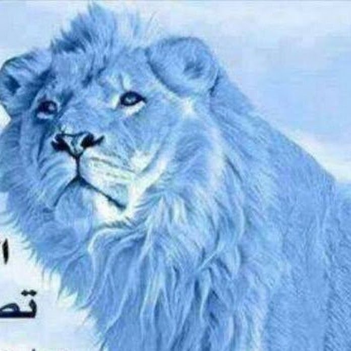 سعد آل نبهان Net Worth & Earnings (2026)