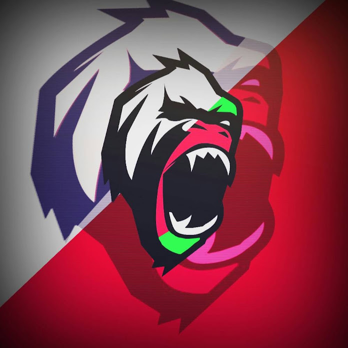 Down to Top Net Worth & Earnings (2026)