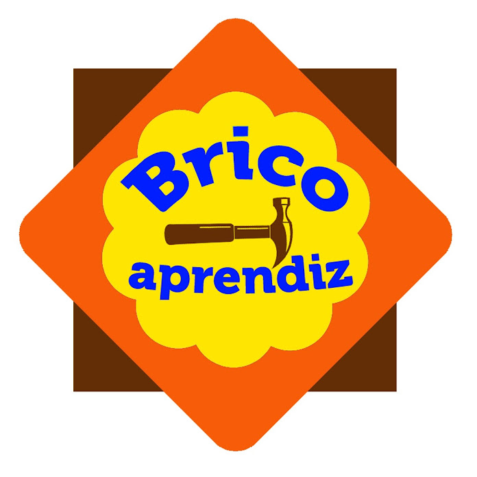 Bricoaprendiz Net Worth & Earnings (2026)