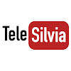What could Tele Silvia buy with $100.27 thousand?