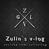 What could Zulin`s v-log buy with $100 thousand?