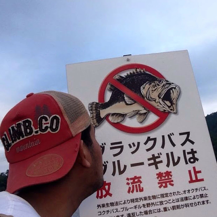 M.kluay Banana Net Worth & Earnings (2026)