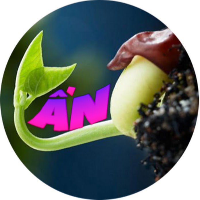 Công Vấn Bonsai Net Worth & Earnings (2026)