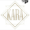 What could DSP Kara buy with $348.3 thousand?