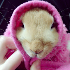 ねるりなたちゃん
