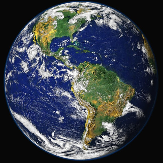 Forti Net Worth & Earnings (2026)