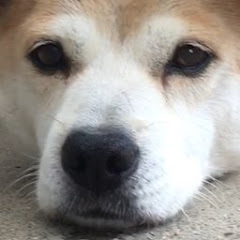 まつみつ