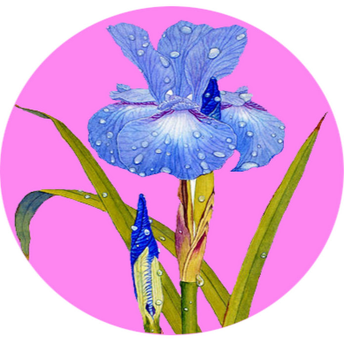 La vie est belle - 日常護理諮詢 Net Worth & Earnings (2026)