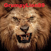 GrumpyLion89