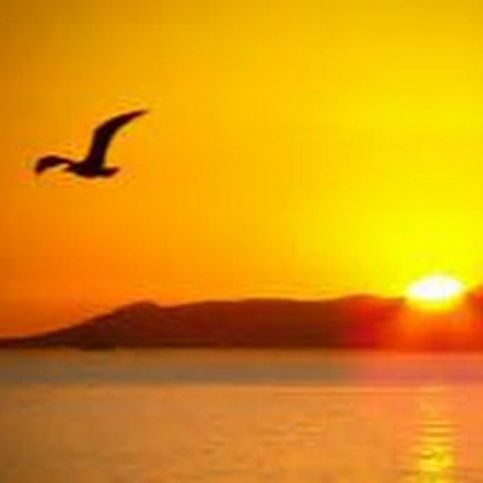 SONU TV CHANNEL Net Worth & Earnings (2026)