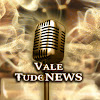 What could VALE TUDO NEWS buy with $100 thousand?