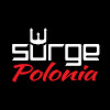 What could surgepolonia buy with $100 thousand?