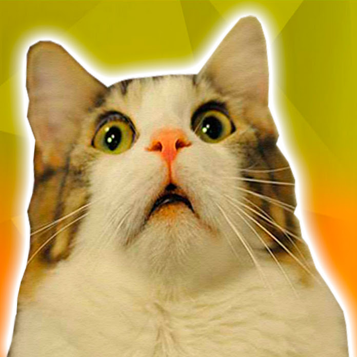 BemLoko Net Worth & Earnings (2026)