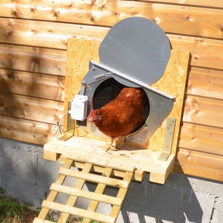 Ckdort Porte Automatique Poulailler Le Chickendort Youtube