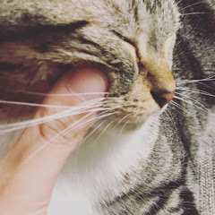 さきしま家の日常