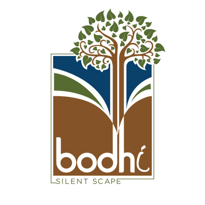 Bodhi Silent Scape Net Worth & Earnings (2024)