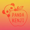 What could PANDA KENJI buy with $100 thousand?