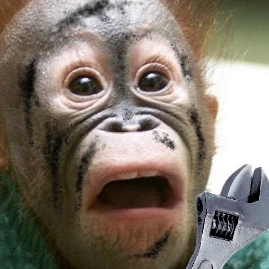 Grease Monkey Fever YouTube