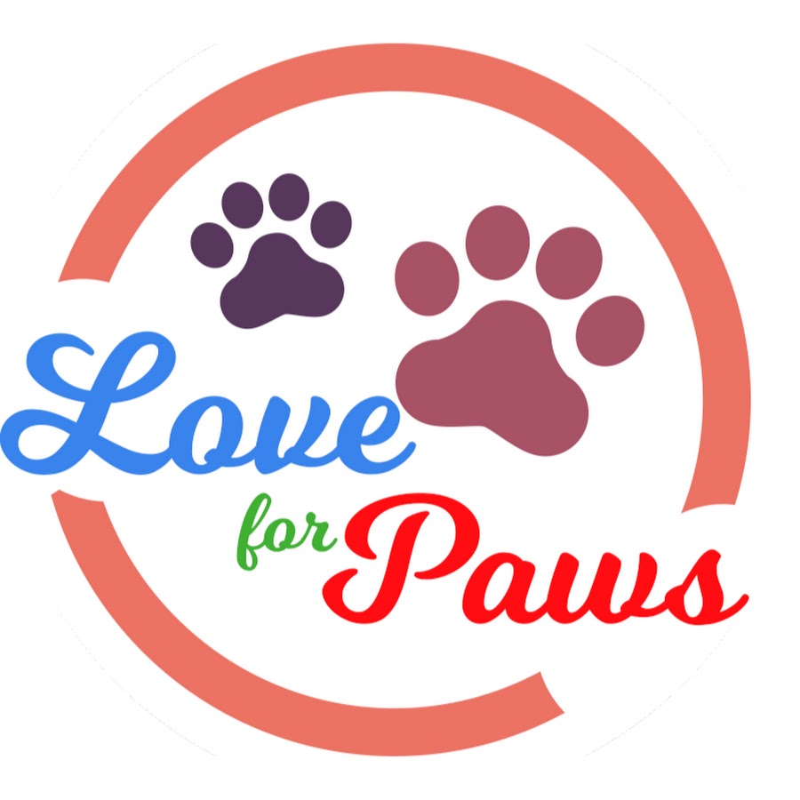 Love for Paws YouTube